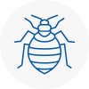 Bed Bug Extermination In Welwyn Garden City