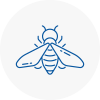 Bee Nest Removal Welwyn Garden City