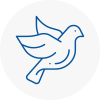 Bird Prevention Welwyn Garden City