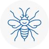 Welwyn Garden City Hornet Nest Removals