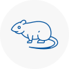 Rat Control Welwyn Garden City