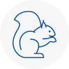 Welwyn Garden City Rodent Removals