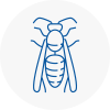 Welwyn Garden City Wasp Nest Removal